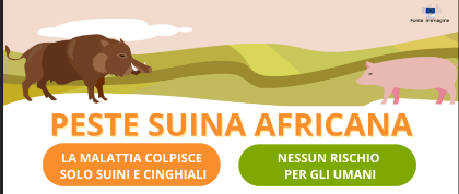 PSA - Peste Suina Africana